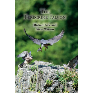 THE PEREGRINE FALCON