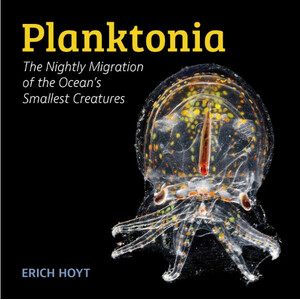 PLANKTONIA. THE NIGHTLY MIGRATION OF THE OCEAN'S SMALLEST CREATURES