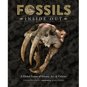 FOSSILS. INSIDE OUT