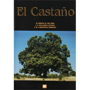 EL CASTAÑO. PRODUCTOR DE FRUTO Y MADERA. CREADOR DE PAISAJE Y PROTECTOR
