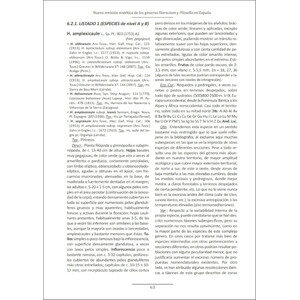 NUEVA REVISIÓN SINTÉTICA DE LOS GÉNEROS HIERACIUM Y PILOSELLA EN ESPAÑA_1