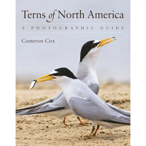TERNS OF NORTH AMERICA. A PHOTOGRAPHIC GUIDE