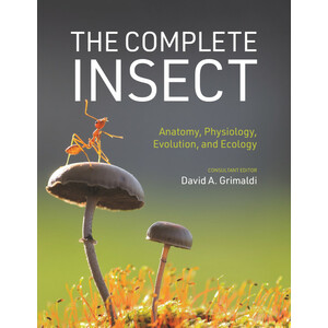 THE COMPLETE INSECT: ANATOMY, PHYSIOLOGY, EVOLUTION, AND ECOLOGY