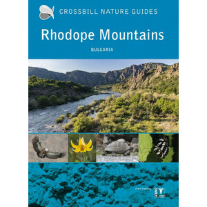CROSSBILL NATURE GUIDES. RHODOPE MOUNTAINS (BULGARIA)