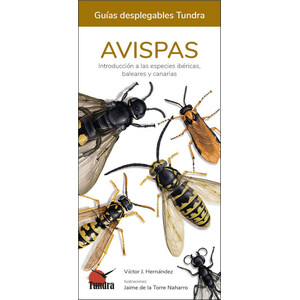 AVISPAS. INTRODUCCIÓN A LAS ESPECIES IBÉRICAS, BALEARES Y CANARIAS. GUÍAS DESPLEGABLES TUNDRA
