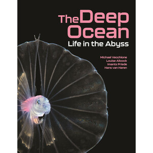 THE DEEP OCEAN. LIFE IN THE ABYSS