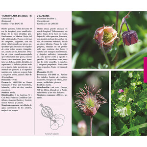 GUÍA DE FLORES DE SOMIEDO ASTURIAS 3