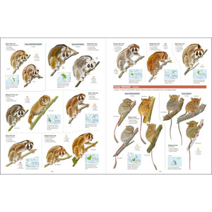 ALL THE MAMMALS OF THE WORLD 5