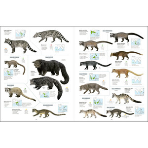 ALL THE MAMMALS OF THE WORLD 6