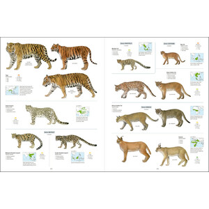ALL THE MAMMALS OF THE WORLD 7