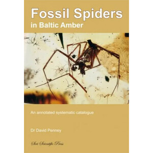 FOSSIL SPIDERS IN BALTIC AMBER