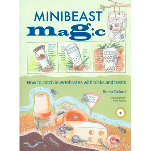 MINIBEAST MAGIC. HOW TO CATCH INVERTEBRATES WITH TRUCKS AND TREATS