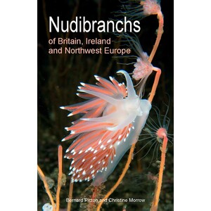 NUDIBRANCHS OF BRITAIN, IRELAND AND NORTHWEST EUROPE