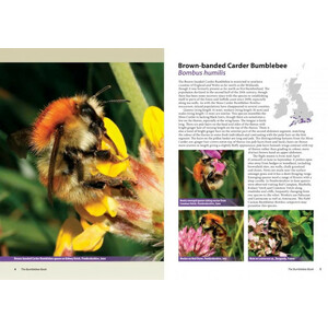 THE BUMBLEBEE BOOK. A GUIDE TO BRITAIN &AMP; IRELAND'S BUMBLEBEES_1