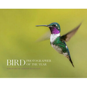 BIRD PHOTOGRAPHER OF THE YEAR. COLLECTION 8