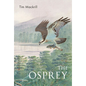 THE OSPREY