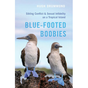 BLUE-FOOTED BOOBIES CONFLICT &AMP; SEXUAL INFIDELITY ON A TROPICAL ISLAND