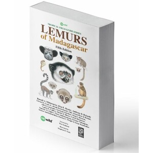 LEMURS OF MADAGASCAR