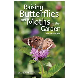 RAISING BUTTERFLIES AND MOTHS IN THE GARDEN