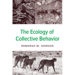 THE ECOLOGY OF COLLECTIVE BEHAVIOR