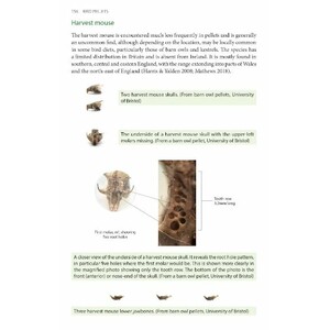 BIRD PELLETS. A COMPLETE PHOTOGRAPHIC GUIDE 6
