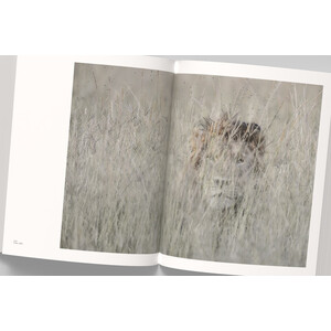 VINCENT MUNIER, THE MONOGRAPH 4
