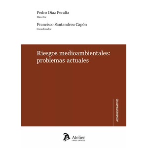 RIESGOS MEDIOAMBIENTALES: PROBLEMAS ACTUALES