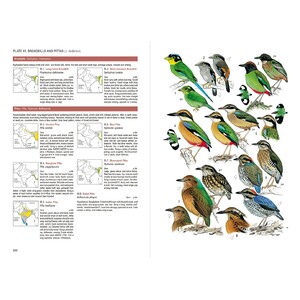 BIRDS OF SOUTH ASIA. THE RIPLEY GUIDE VOLUMEN 1 FIELD GUIDE 3