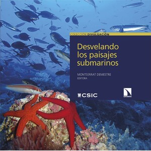 DESVELANDO LOS PAISAJES SUBMARINOS