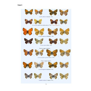 CATALOGUE ICONOGRAPHIQUE DES LÉPIDOPTÈRES DES PYRÉNEES-ORIENTALES_1