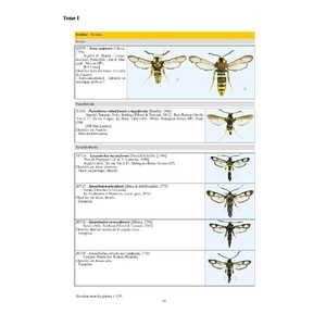 CATALOGUE ICONOGRAPHIQUE DES LÉPIDOPTÈRES DES PYRÉNEES-ORIENTALES 3
