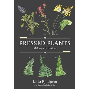 PRESSED PLANTS: MAKING A HERBARIUM