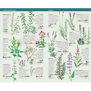 101 PLANTAS AROMÁTICAS Y MEDICINALES DE ESPAÑA QUE HAY QUE CONOCER. MINIGUÍA DE CAMPO_1