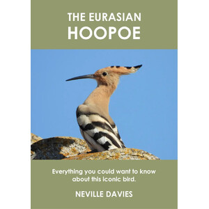THE EURASIAN HOOPOE. EVERYTHING YOU COULD WANT TO KNOW ABOUT THIS ICONIC BIRD