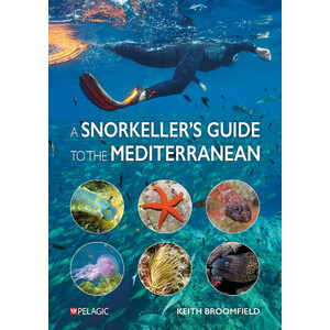 A SNORKELLER'S GUIDE TO THE MEDITERRANEAN. A PHOTOGRAPHIC ID GUIDE TO THE MOST COMMONLY ENCOUNTERED MARINE SPECIES
