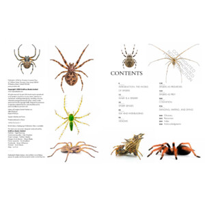 THE LIVES OF SPIDERS: A NATURAL HISTORY OF THE WORLD'S SPIDERS 3