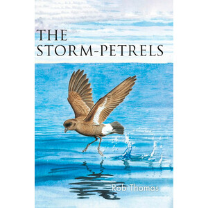 THE STORM-PETRELS