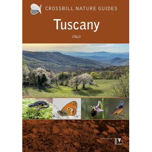 CROSSBILL GUIDE TUSCANY ITALY