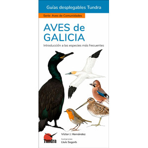 AVES DE GALICIA. INTRODUCCIÓN A LAS ESPECIES MÁS FRECUENTES. GUÍAS DESPLEGABLES TUNDRA