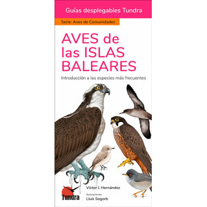 AVES DE LAS ISLAS BALEARES. INTRODUCCIÓN A LAS ESPECIES MÁS FRECUENTES. GUÍAS DESPLEGABLES TUNDRA