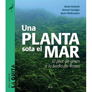 UNA PLANTA SOTA EL MAR. EL PRAT DE GRAM A LA BADIA DE ROSES