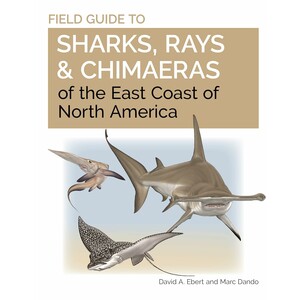 FIELD GUIDE TO SHARKS, RAYS AND CHIMAERAS OF THE EAST COAST OF NORTH AMERICA