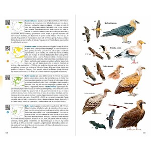 AVES DE ESPAÑA_1