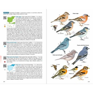 AVES DE ESPAÑA 3