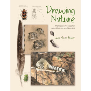 DRAWING NATURE: THE CREATIVE PROCESS OF AN ARTIST, ILLUSTRATOR, AND NATURALIST