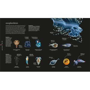 THE SCIENCE OF THE OCEAN. THE SECRETS OF THE SEAS REVEALED 6