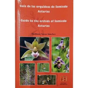 GUÍA DE ORQUÍDEAS DE SOMIEDO ASTURIAS. GUIDE TO THE ORCHIDS OF SOMIEDO ASTURIAS