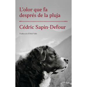 L'OLOR QUE FA MOLL DE PLUJA
