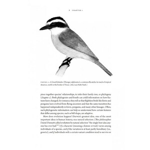 HOW BIRDS EVOLVE. WHAT SCIENCE REVEALS ABOUT THEIR ORIGIN, LIVES &AMP; DIVERSITY_1
