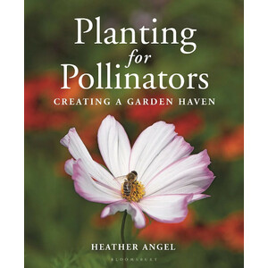 PLANTING FOR POLLINATORS. CREATING A GARDEN HEAVEN